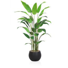 Artificial Bird of Paradise trees .