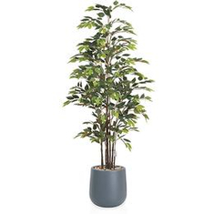 🌿 Artificial ficus leaves adding a stylish touch to arrangements.
