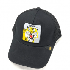 cap's