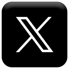 X ( Twitter )