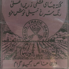 ابوسيفين
