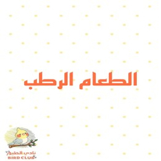 الطعام الرطب