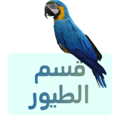 Category image