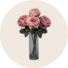 Category image