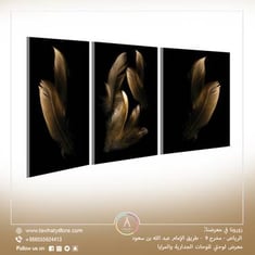 طقم مكون من 3 لوحات جدارية مقاس 80x150 سم بدون برواز بعنوان "ريش طائر من ماء الذهب"