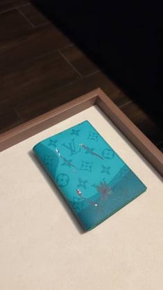 Passport wallet 