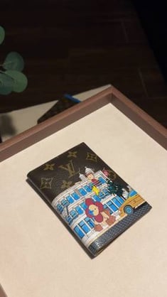 Passport wallet 