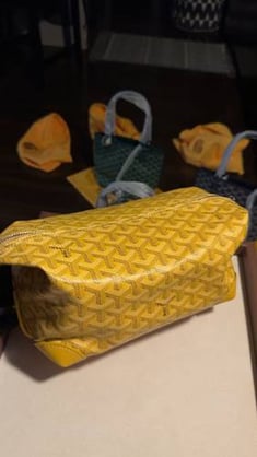 Goyard bag
