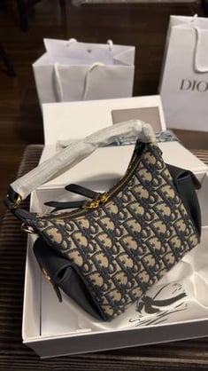 Dior mini bag
