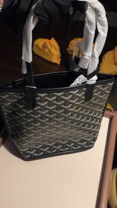 Goyard Mini Anjou