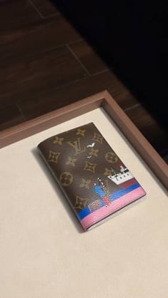 Passport wallet 