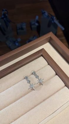 earring apm
