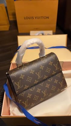 Lv mini bag