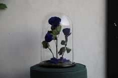 Large RB Bell Jar