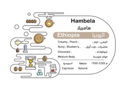 اثيوبيا - هامبيلا (مجففة)