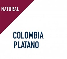 كولومبيا بلاتانو - ادمي | PLATANO