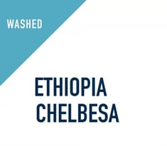 ادمي | اثيوبيا تشلبيسا مغسولة 250ج