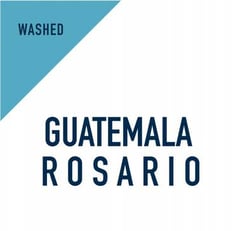 غواتيمالا روزاريو مغسولة , Guatemala,Rosario 250g