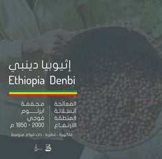انديز | إثيوبيا دينبي 
