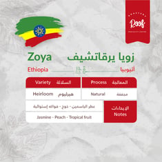 زويا يرقاتشيف - أثيوبيا