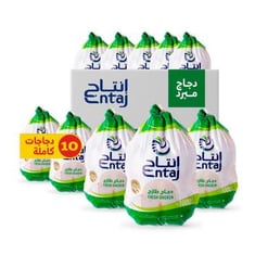 جملة 10 حبات دجاج طازج 1000ج