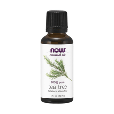 زيت شجرة الشاي عطري عضوي من ناو 30 مل - NOW Essential Oils Tea Tree Oil 30 ML 