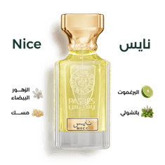 نايس NICE