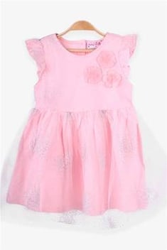 Baby Girl's Glitter Powder Rose Tulle Dress