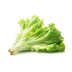 lettuce خس حبه