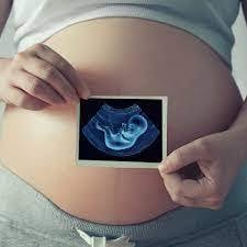 برنامج متابعة الحمل ( 1 ) 