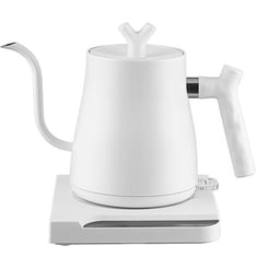 Electric Tea Kettle Stainless Steel, Pour over kettle for Coffee, Hot Water Kettle  Electric Auto Shut Off, 0.8L,1000W Appliance - AliExpress