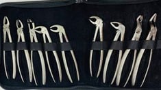  ‬‪Extraction Forceps - Adult Set‬