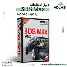 3DS Max 2020