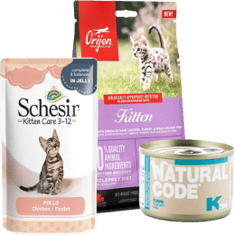 Kitten Food