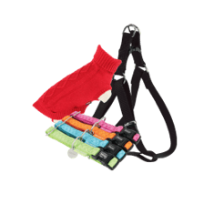 Dog Accessories