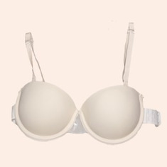 Adhesive bra