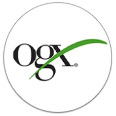 أو جي أكس • OGX