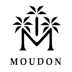 موودون -Moudon