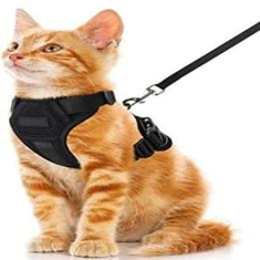 Cat bibs