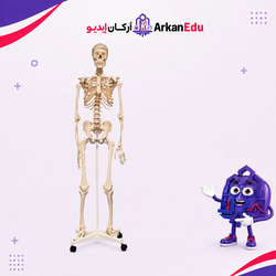 العلوم