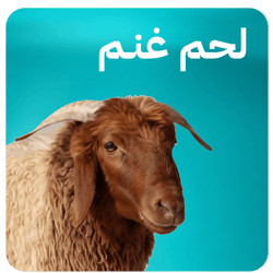 لحم أغنام