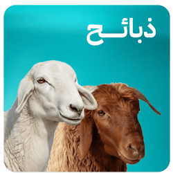 ذبائح