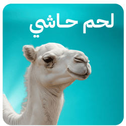 لحم حاشي