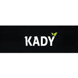Kady