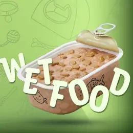 Wet Food