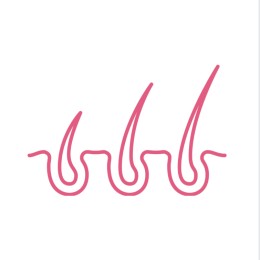 العناية بالشعر