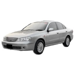 صني 2007-2010