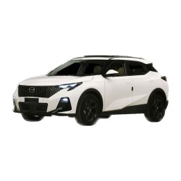 GS3