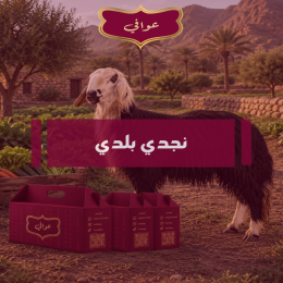 ذبيحة نجدي