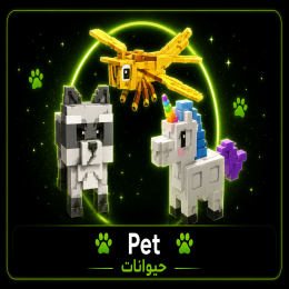 حيوانات | Pet